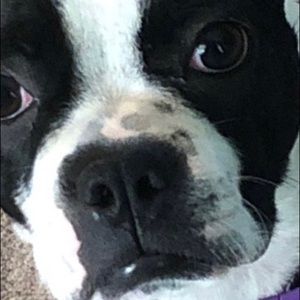 Meet your Posher, Bradley